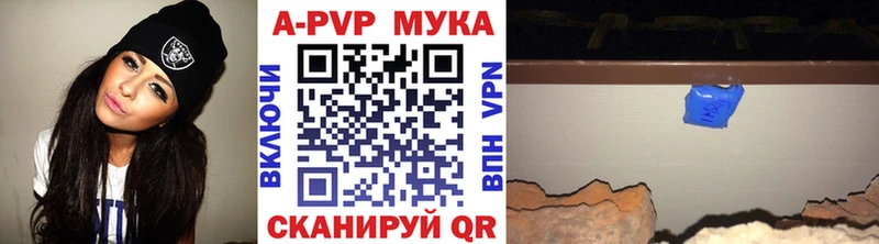 omg вход  Бирюч  Альфа ПВП СК 