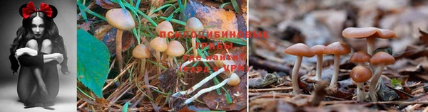 МДМА Арсеньев