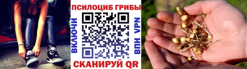 Галлюциногенные грибы Cubensis где купить Бирюч